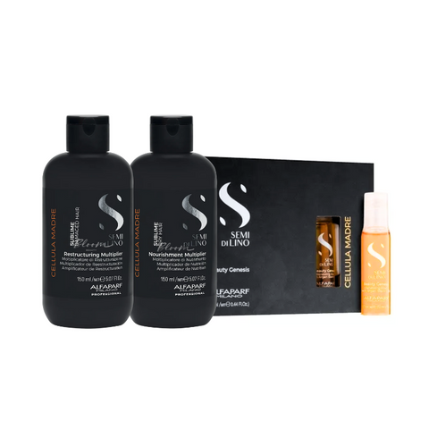 ALFAPARF Kit Células Madres Alfaparf + 12 Ampollas Argán Reparación