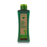 SALERM Shampoo Cabellos Grasos Biokera 300 ML