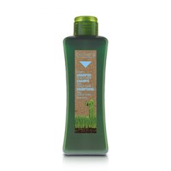 SALERM Shampoo Anticaspa Scalp Care Biokera 300 ML